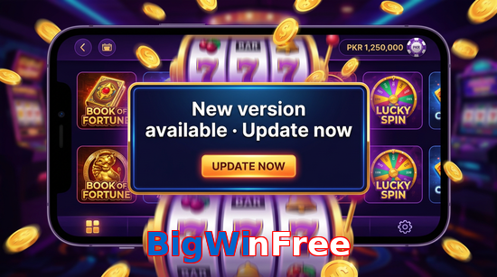 Payment and PKR controls in BigWinFree