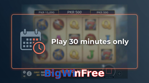 Payment and PKR controls in BigWinFree